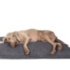 District 70 Classic Hundekissen anthrazit