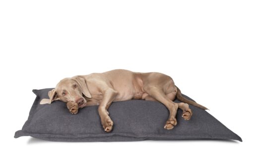 District 70 Classic Hundekissen anthrazit