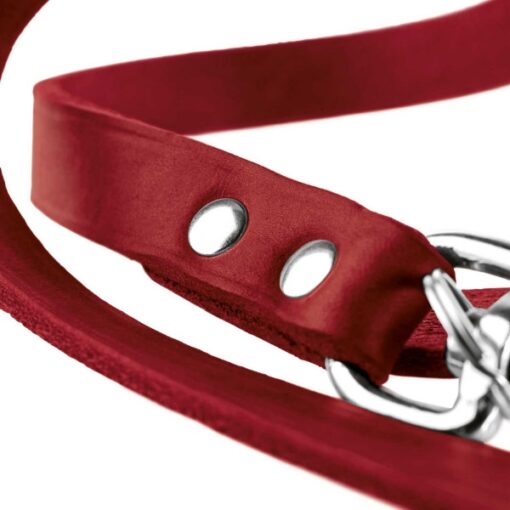 Hunter Verstellbare Führleine rot