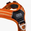 DOG Copenhagen Walk Air™ Geschirr orange