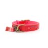 DWAM Halsband Pink Star 2,5 cm