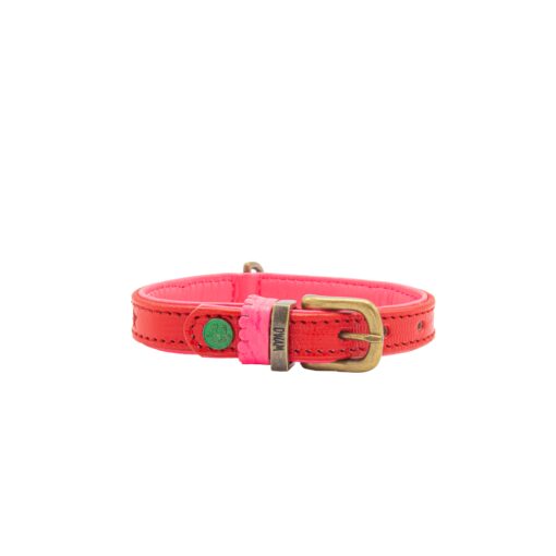 DWAM Halsband Pink Star 1,5 cm