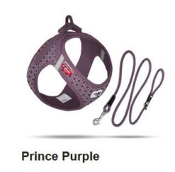 Curli Special Edition Clasp Air Mesh Geschirr prince purple