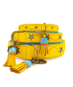 DWAM Halsband Blue Star