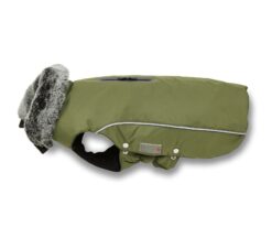 Wolters Winterjacke Amundsen Dackel oliv