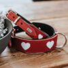 Hunter Halsband Love schmal und breit