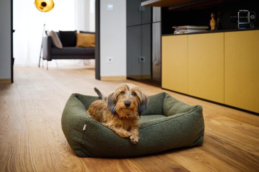 Laboni CLASSIC Hundebett - TEDDY grün