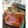 DWAM Hundetasche Bonita