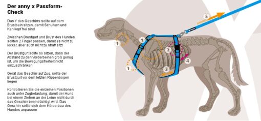 annyx Brustgeschirr Protect leuchtgrün / hellgrün (*Sonderfarbe*)-8544