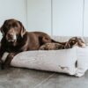 Hunter Hundesofa Inari beige