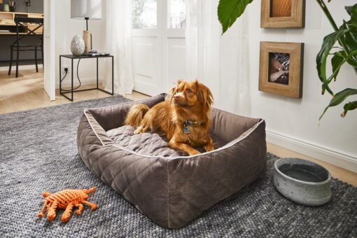 Laboni CLASSIC Hundebett - OXFORD Stone