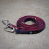 passende Leine mit Safety-Karabiner