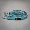 passende Leine mit Safetykarabiner