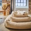 Laboni CLASSIC Hundebett - TEDDY creme