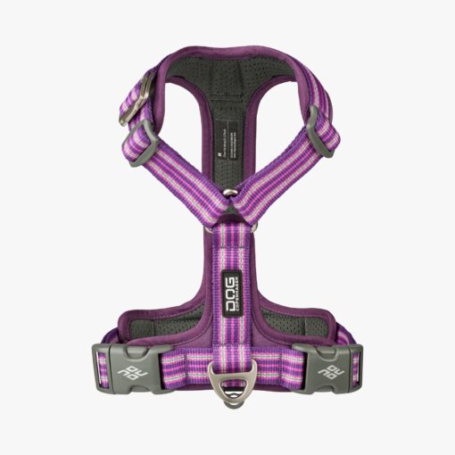 V3 DOG Copenhagen Walk Air™ Geschirr purple passion