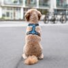 DOG Copenhagen Walk Air™ Geschirr ocean blue