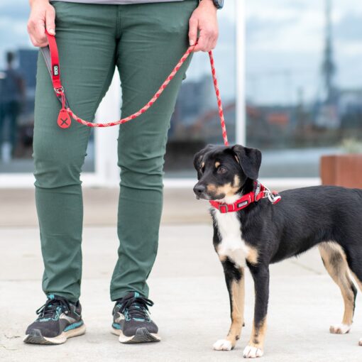 V3 DOG Copenhagen Urban Rope™ Leine