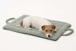 DOGS in the CITY Reisematte Travel Mat Matti Paddy