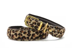 Maul Halsband Leopard Messing