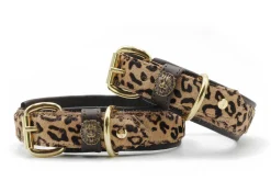 Maul Halsband Afrika Messing