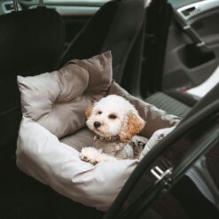 Hunter 2-in-1 Autositz und Reisebett Seoul