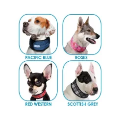 Aqua Coolkeeper Cooling Collar - Kühlhalsband für Hunde