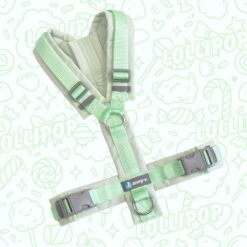 annyx Limited Edition Brustgeschirr Fun Lollipop / Candy Colors