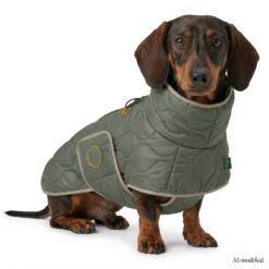 Hunter Hundemantel Lundby Dachshund oliv