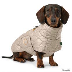 Hunter Hundemantel Lundby Dachshund greige
